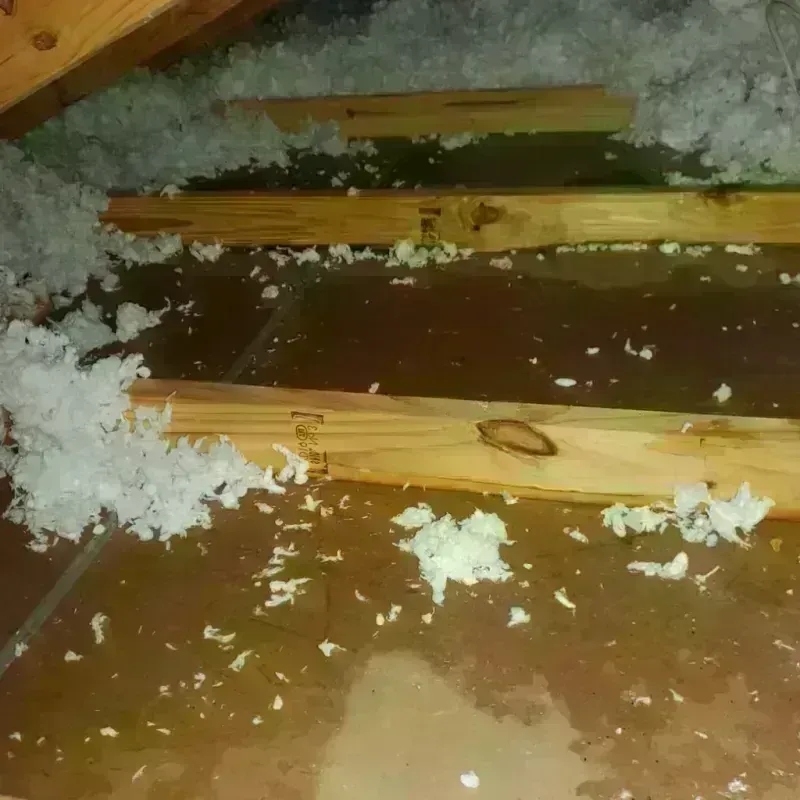 Attic Water Damage in Mandan, ND