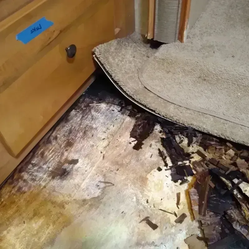 Best Wood Floor Water Damage Service in Mandan, ND